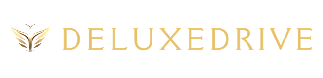 DeluxeDrive logo